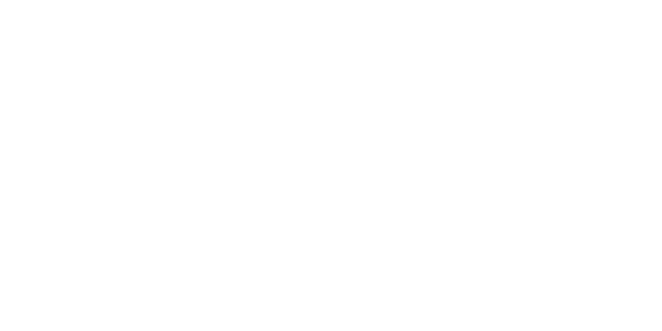 Web hosting icon.